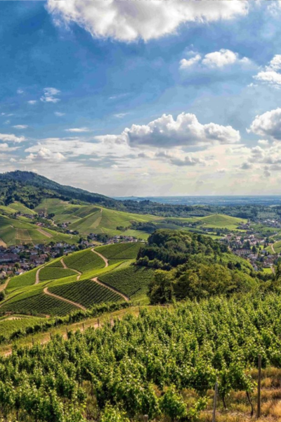 Durbach